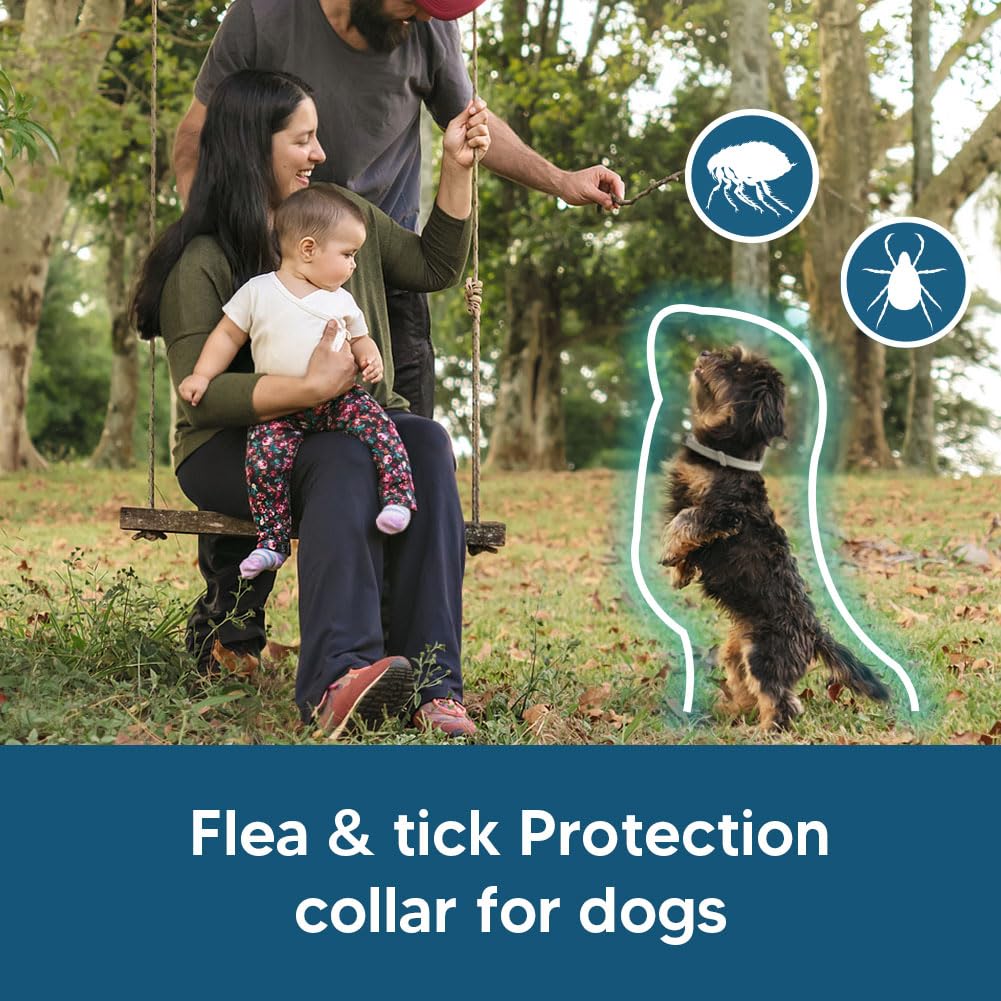 NJKPUYT flea collar is pet-safe and family-safe when used as directed.