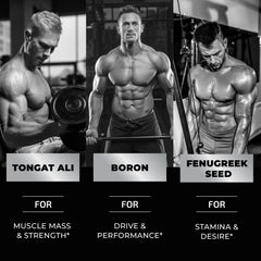 Nobi Nutrition Test Boost Max ingredients chart highlighting Tongkat Ali and Fenugreek