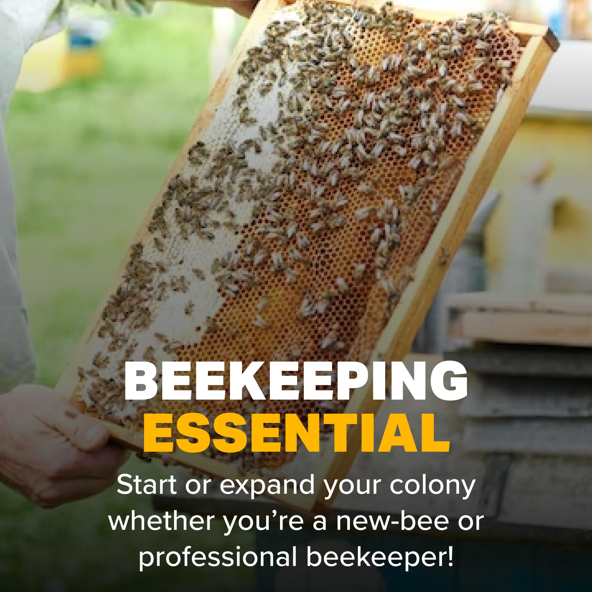 NOD Apiary Formic Pro with safety gear guidance for safe handling.