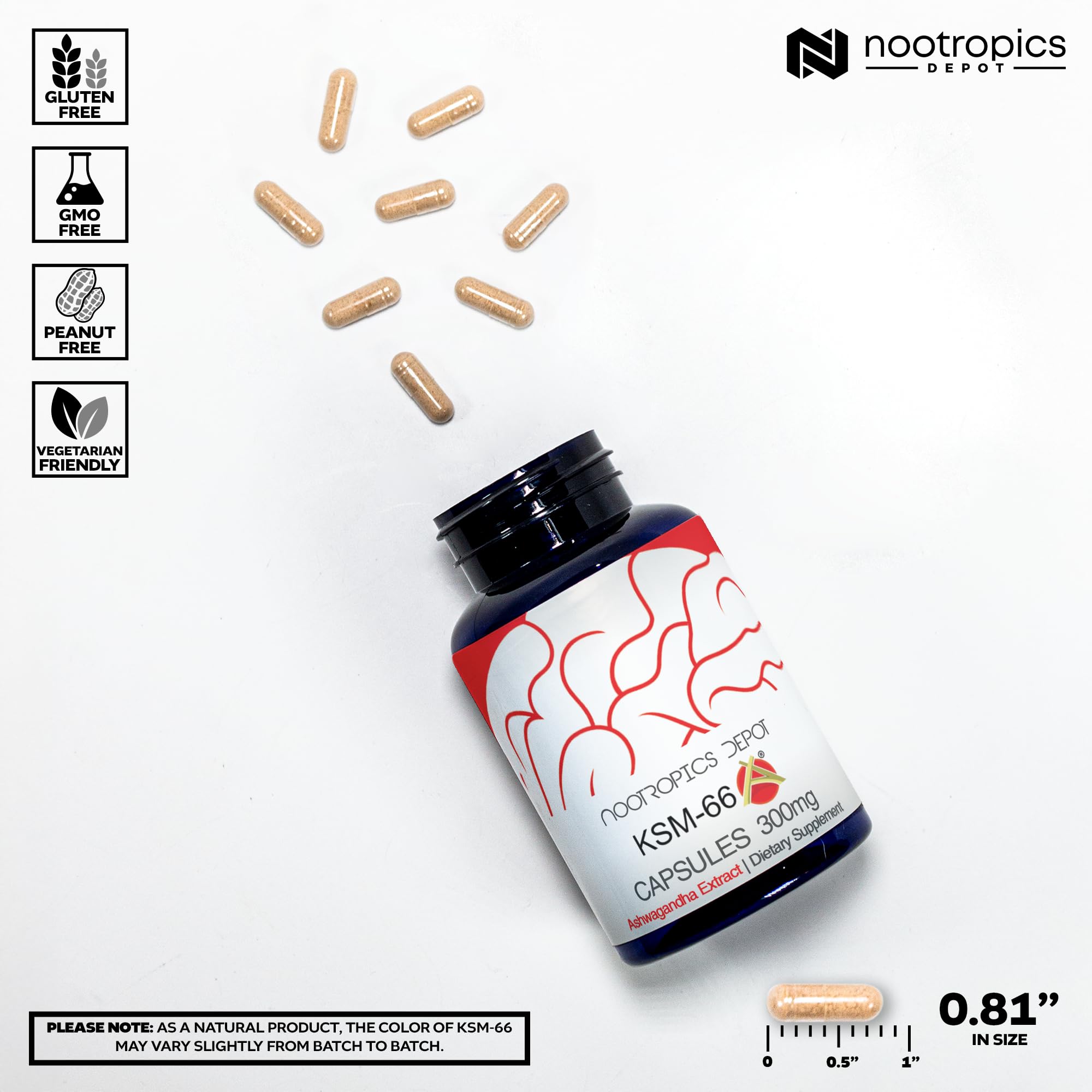 Nootropics Depot Ashwagandha packaging front highlighting 90 count bottle
