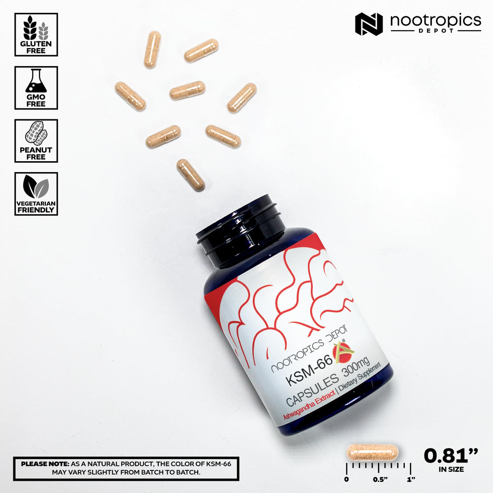 Nootropics Depot KSM-66 capsules spilled for easy daily use in routines.