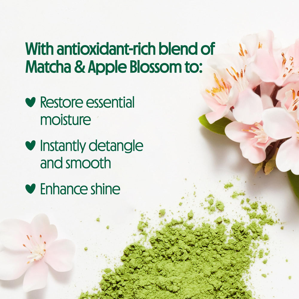 Not Your Mother's Naturals Matcha Green Tea close-up highlighting antioxidant blend.