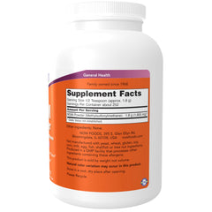NOW Foods MSM powder jar close-up highlights natural sulfur-bearing formula