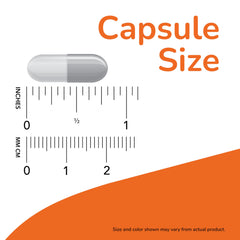 NOW Foods NAC Quercetin Zinc bottle top shows product quality and GMP standards