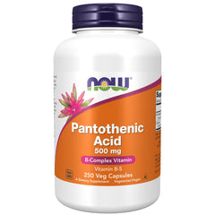 NOW Foods Pantothenic Acid 500 mg bottle with energy metabolism support.