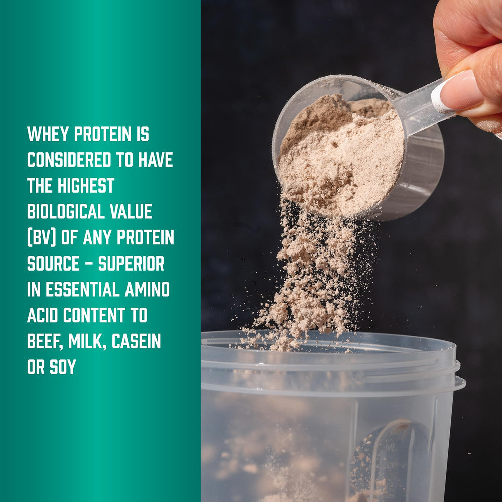 NOW Foods Whey Protein Isolate BCAAs visual underscores amino acid support.