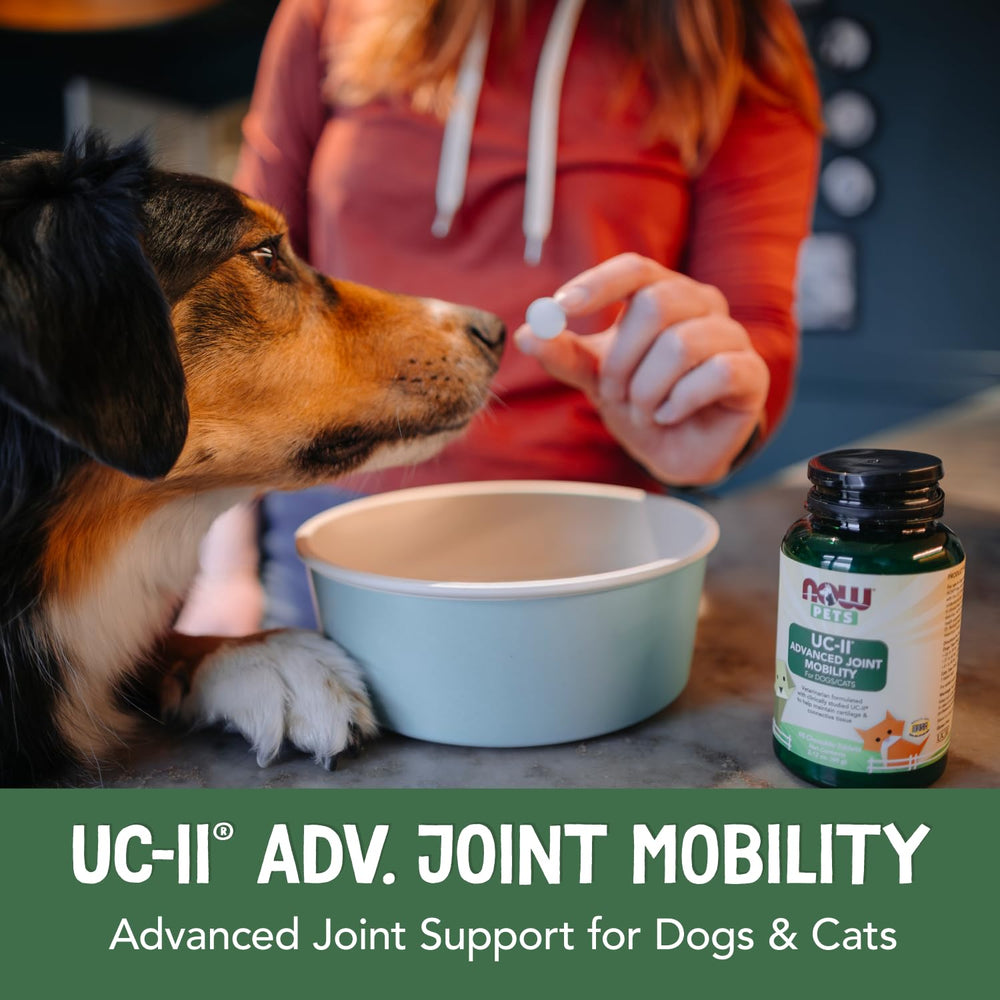 NOW Pets UC-II Advanced Joint Mobility dog and cat figures indicating use across species.