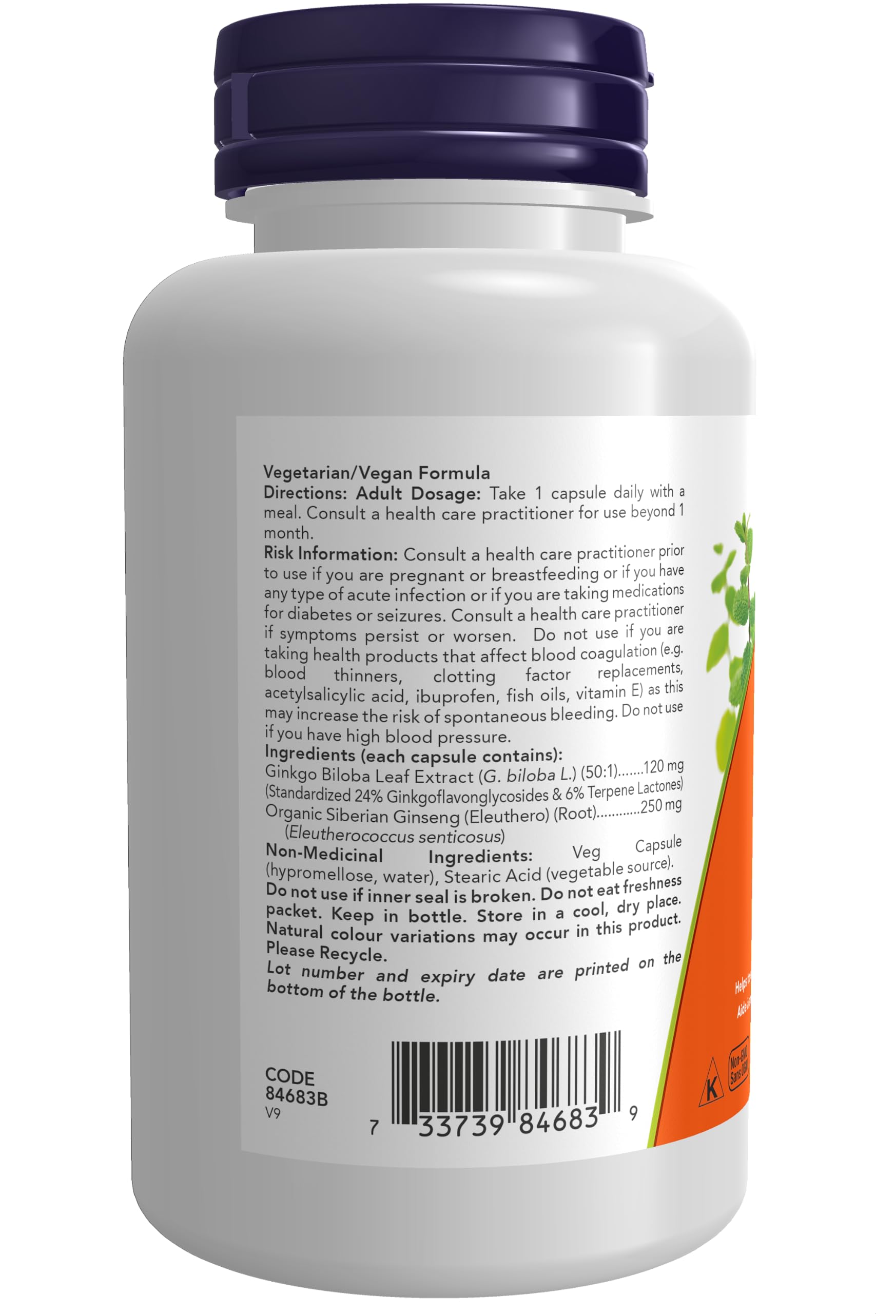 NOW Foods Ginkgo Biloba 120 mg standardized extract close-up, 24% potency