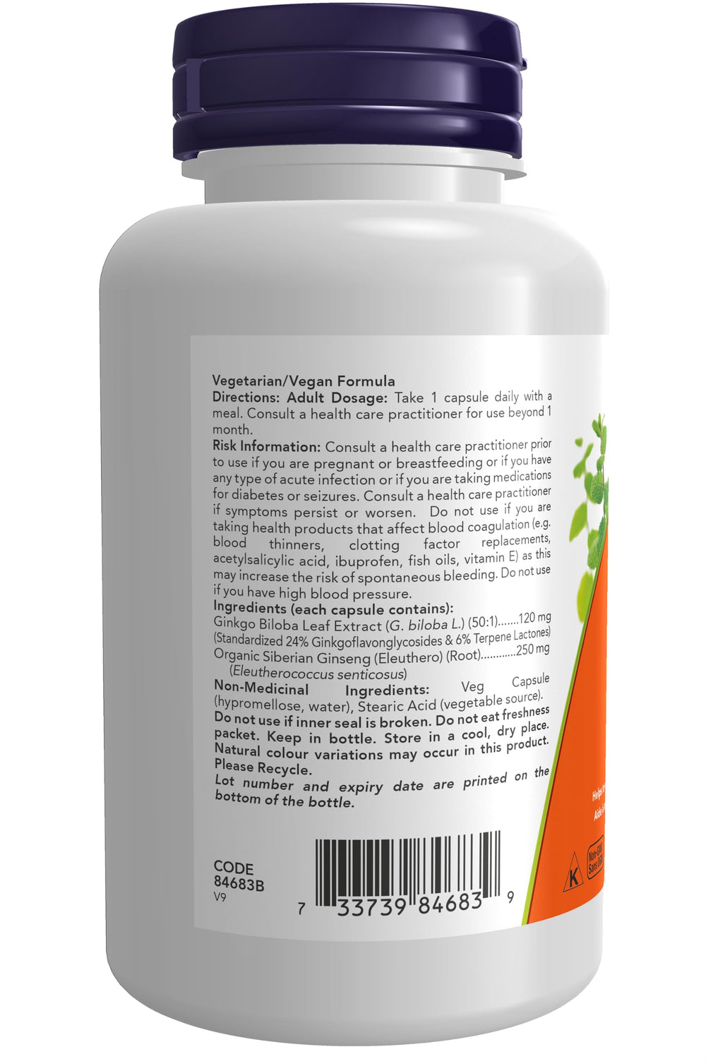 NOW Foods Ginkgo Biloba 120 mg standardized extract close-up, 24% potency