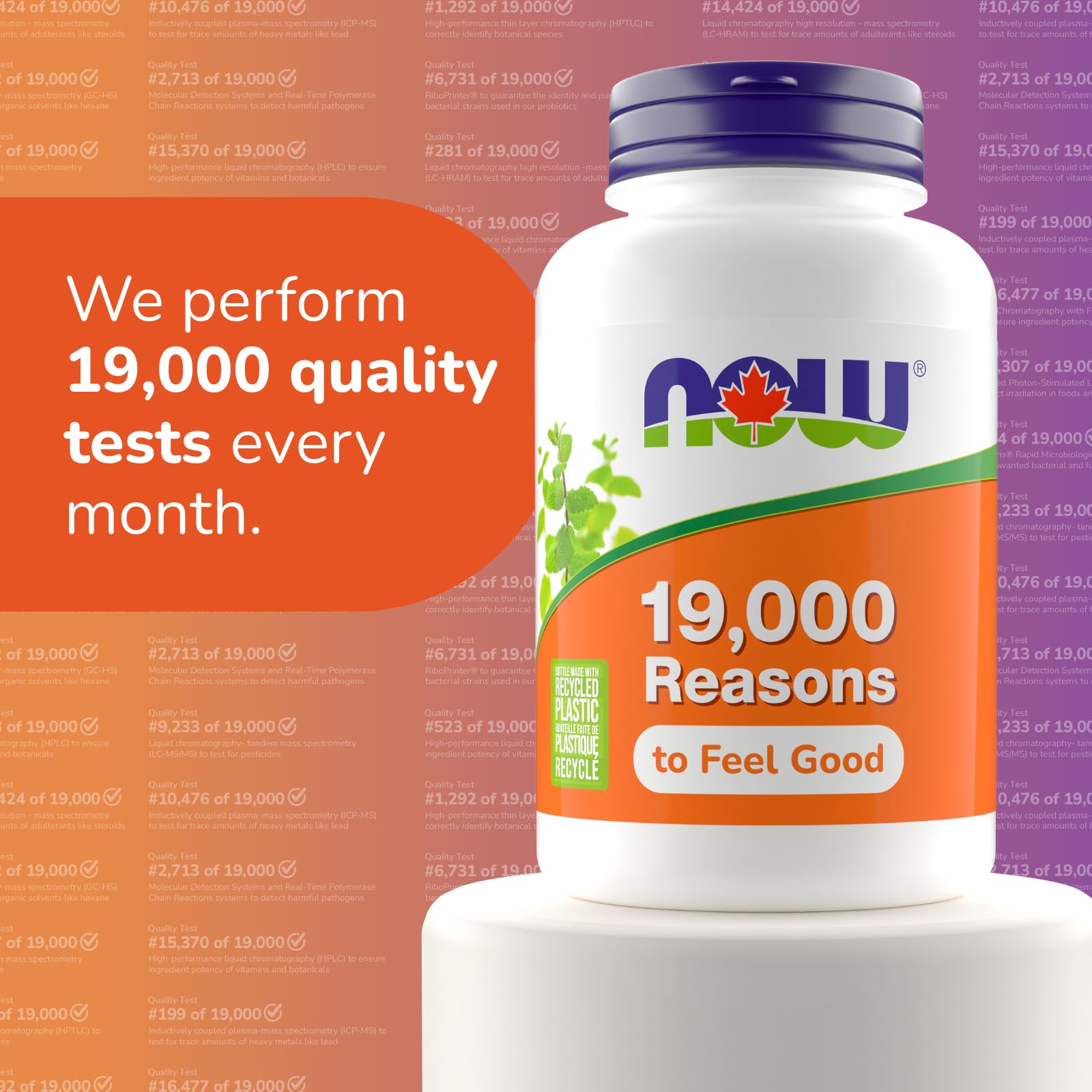 NOW Foods Ginkgo Biloba 120 mg vegan-friendly capsule ready for daily routines