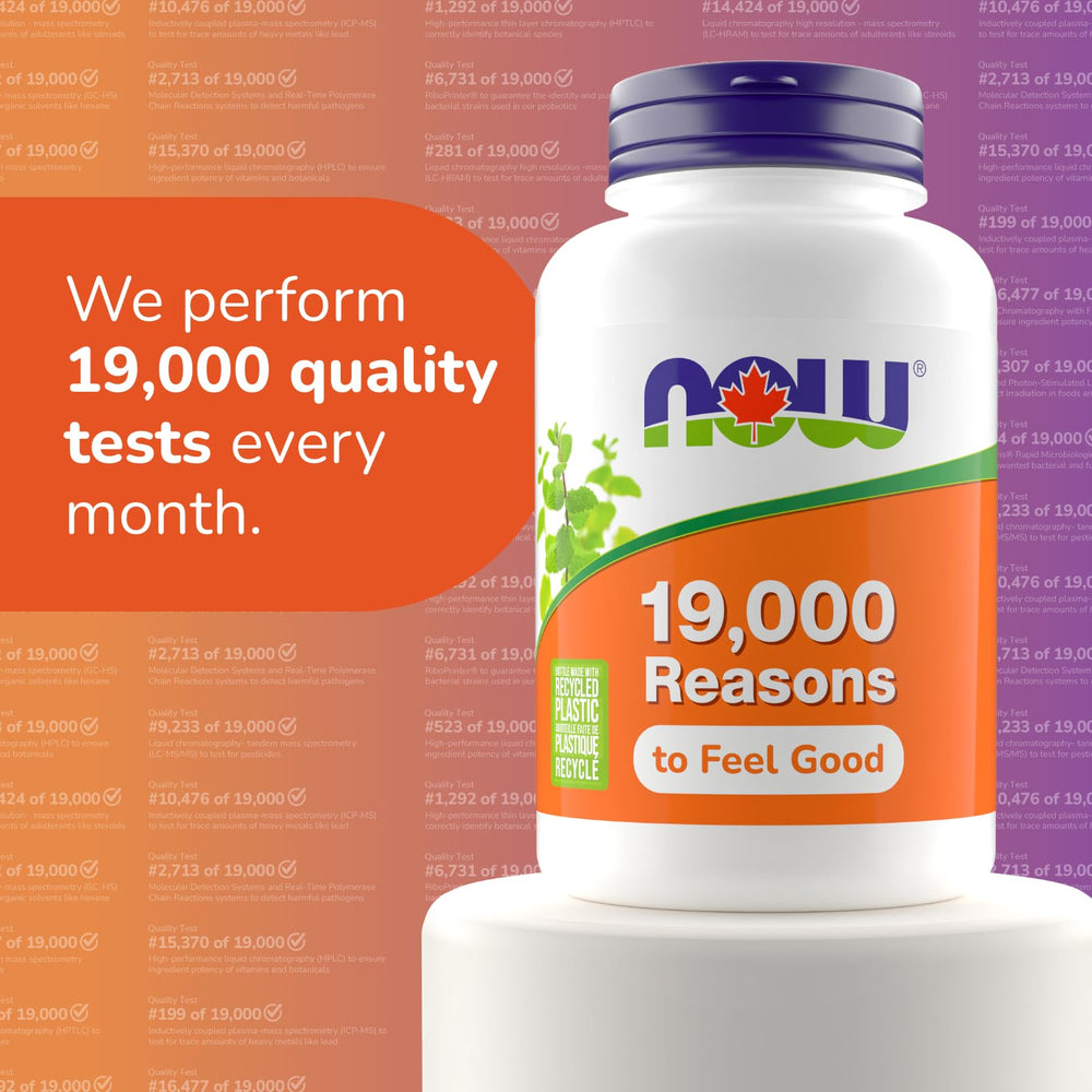 NOW Foods Ginkgo Biloba 120 mg vegan-friendly capsule ready for daily routines
