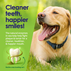 NuLife dental powder supports fresher breath in dogs