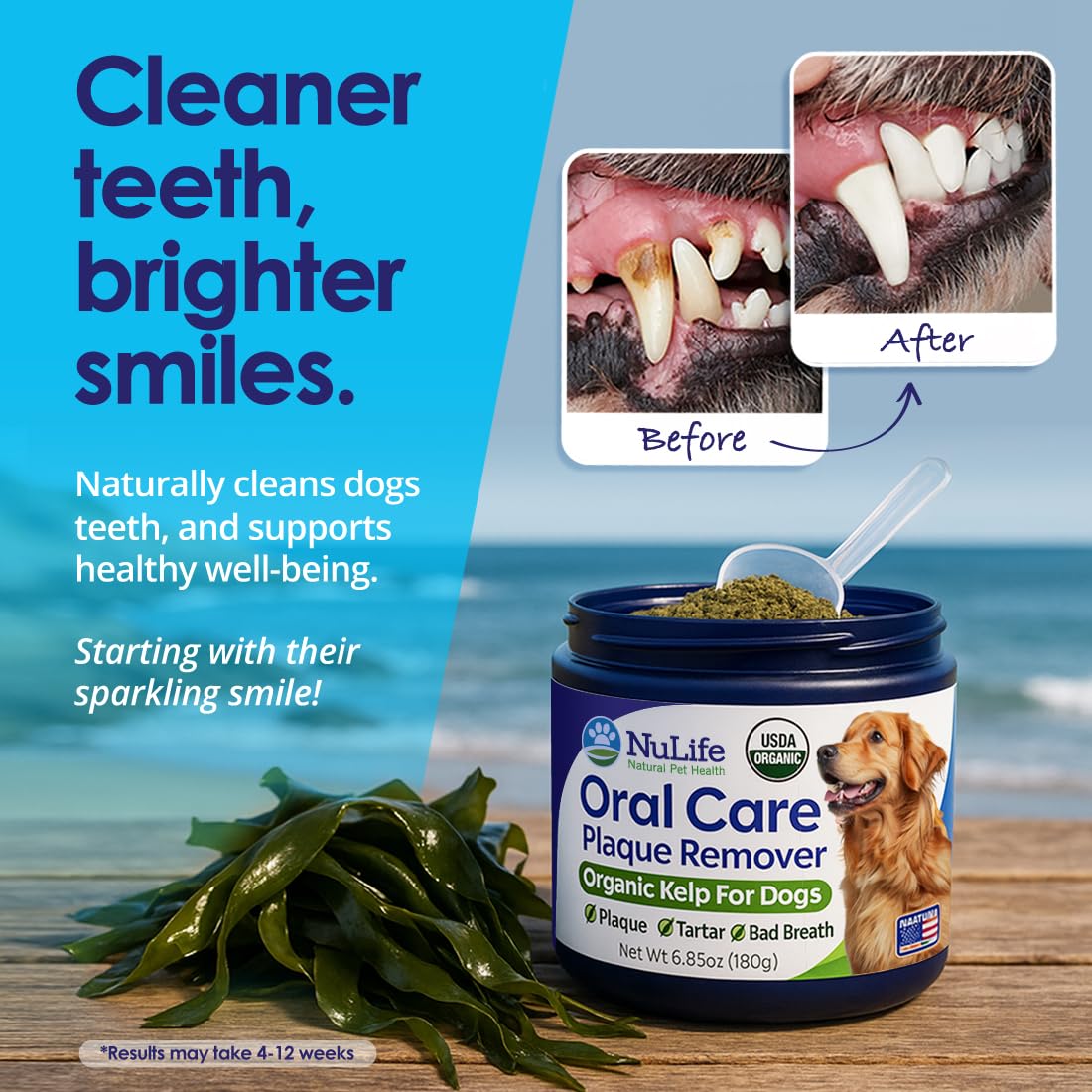 NuLife powder on wet food for convenient dental care