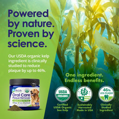 NuLife dog teeth powder sprinkled on food for easy daily care