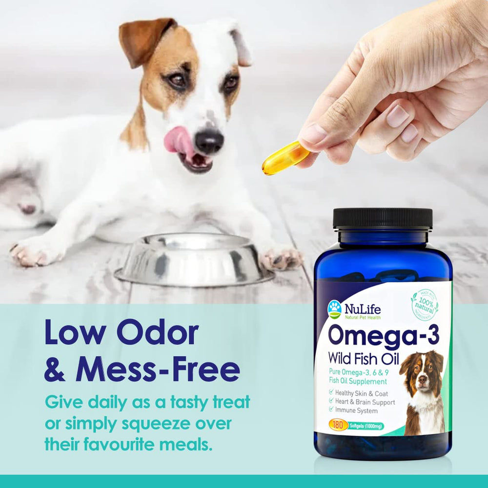 NuLife immune-support omega-3 for dogs may boost resilience