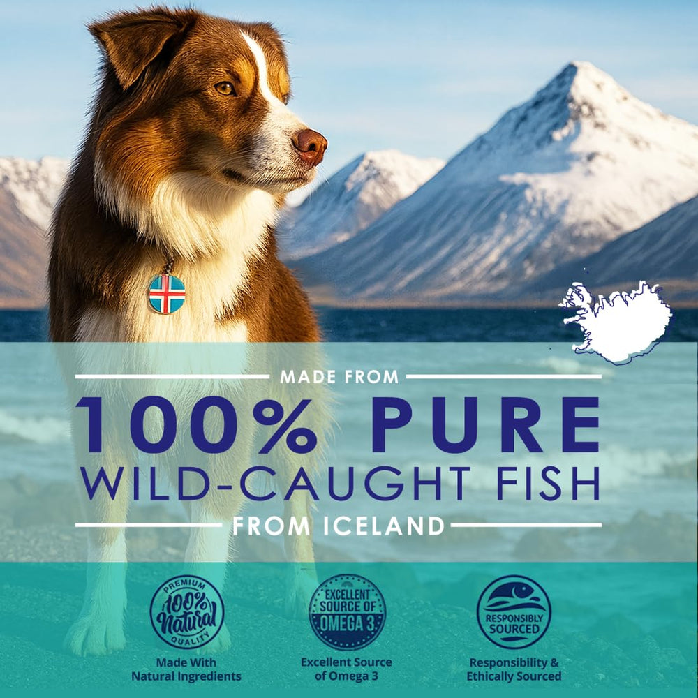 NuLife Pure Omega-3 dogs softgel capsules ready to take with meals