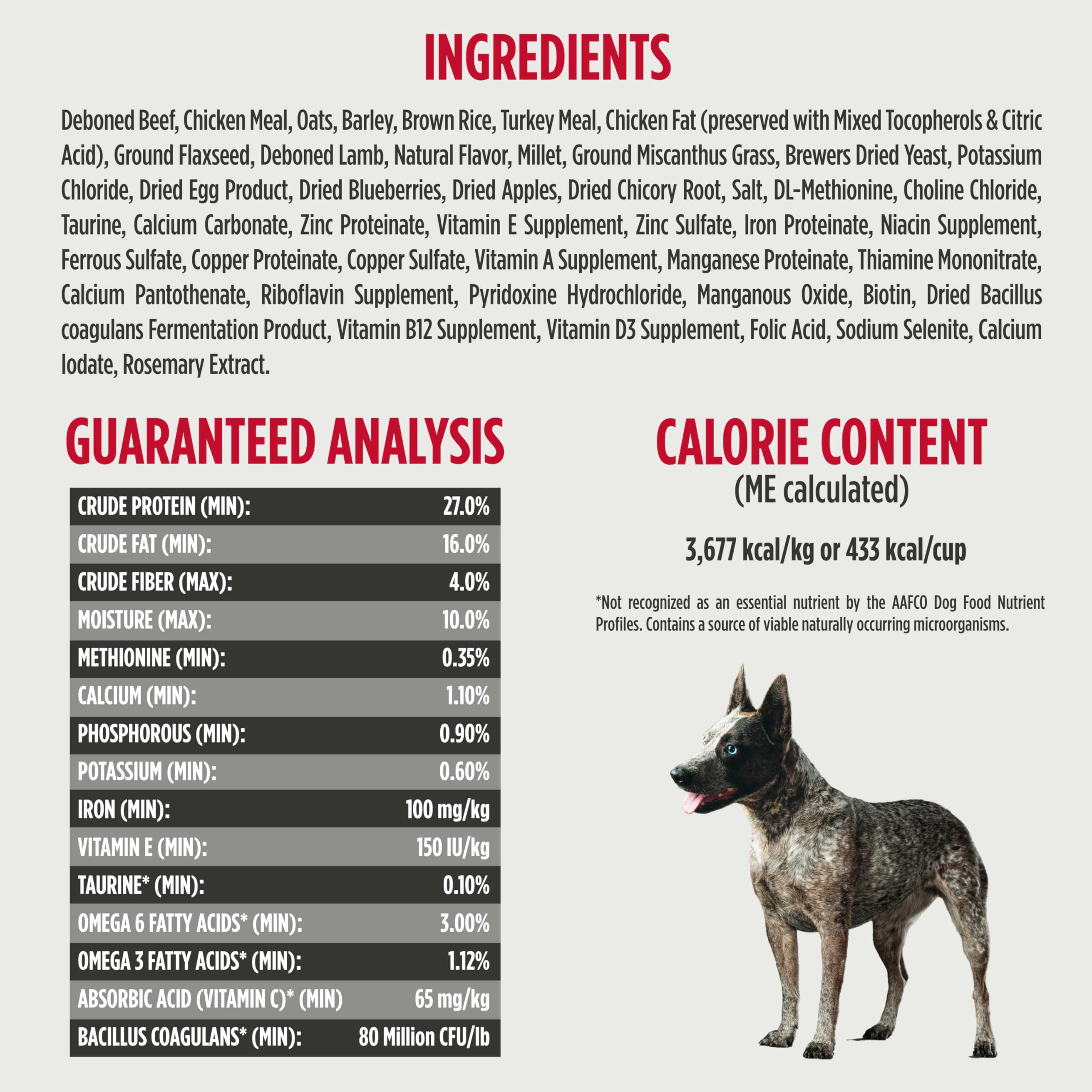 US-made natural dog food from Nulo Frontrunner.