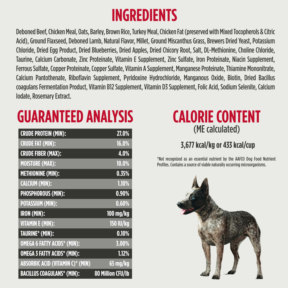 US-made natural dog food from Nulo Frontrunner.