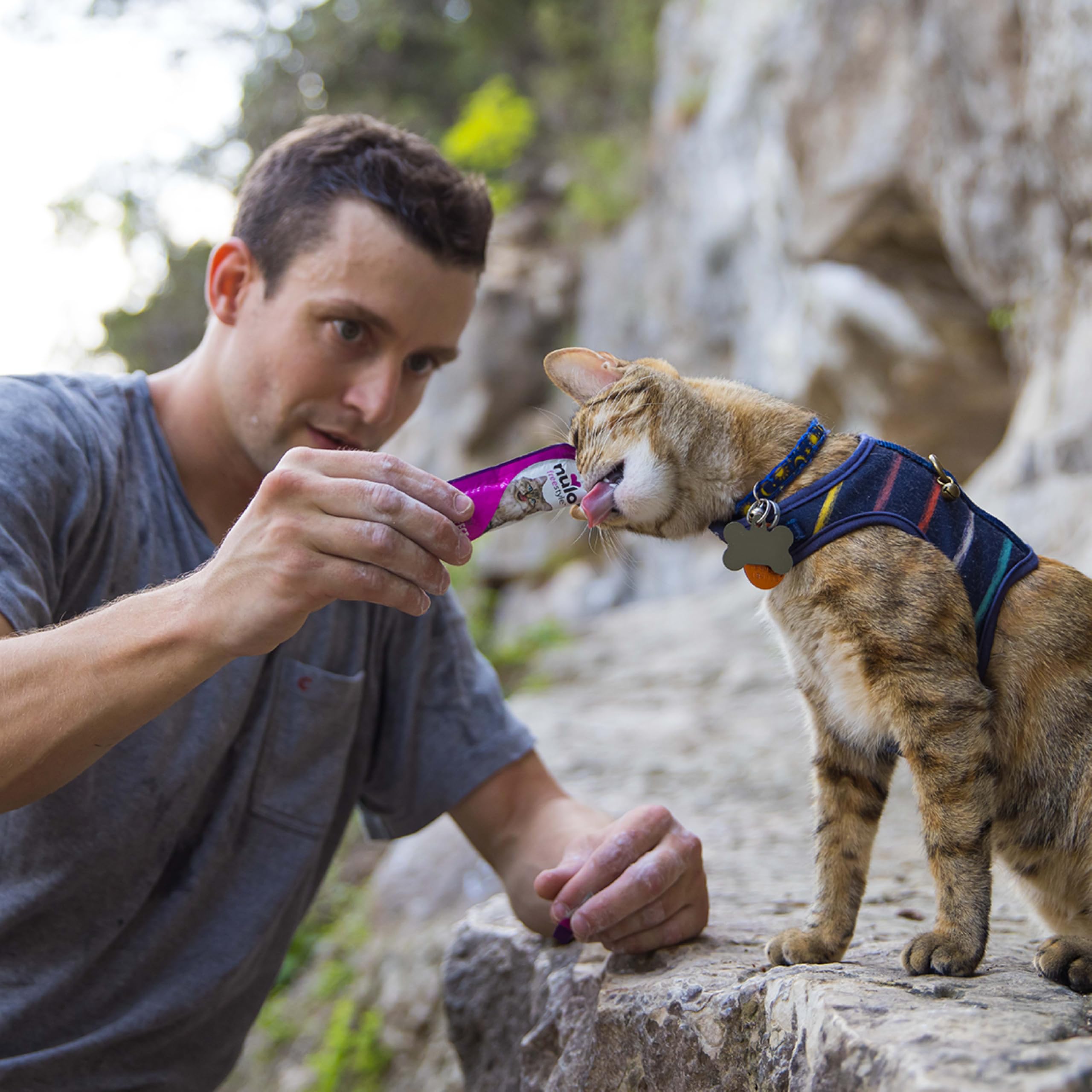 Nulo Purées indoor-outdoor cat enjoyment with high moisture formula.