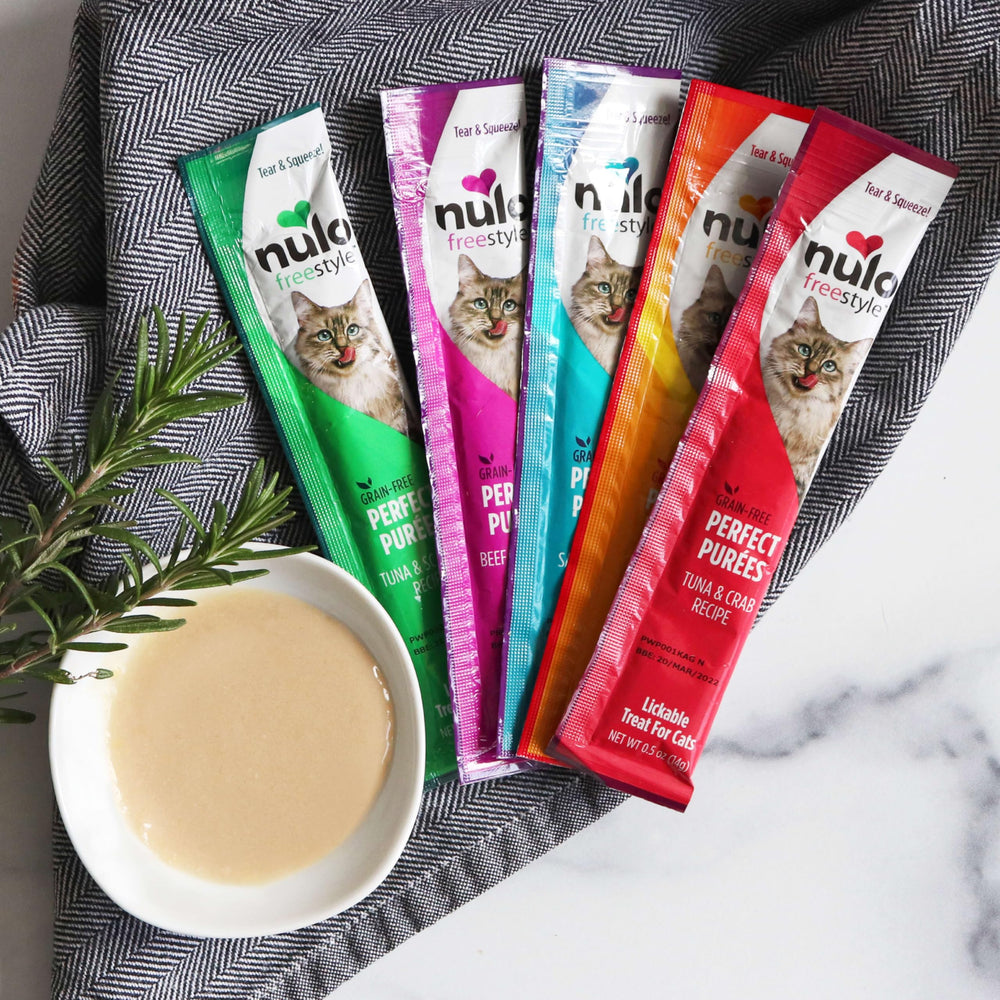 Nulo Purées interactive feeding moment strengthens cat bonding.