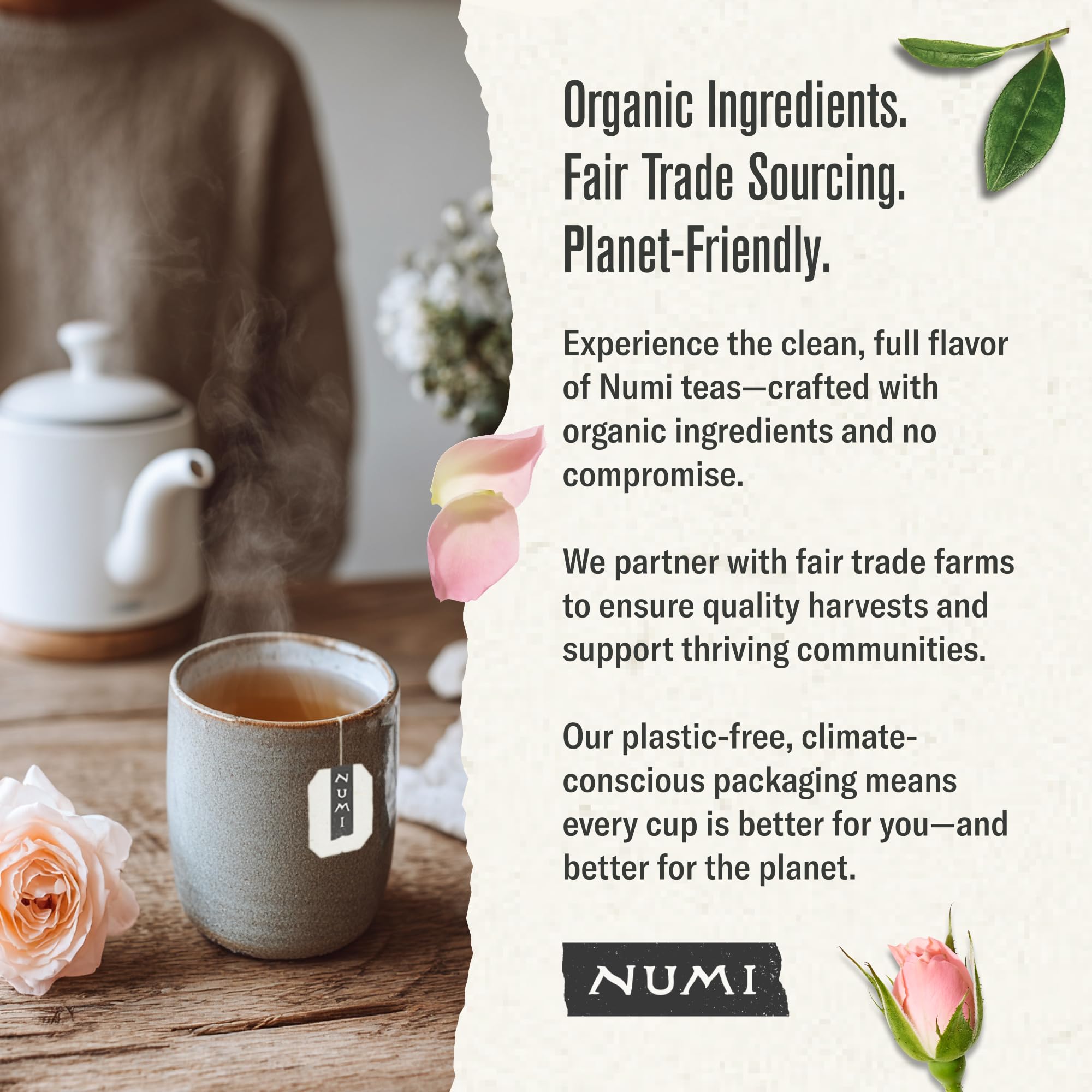 Numi brand story of siblings behind the blend.