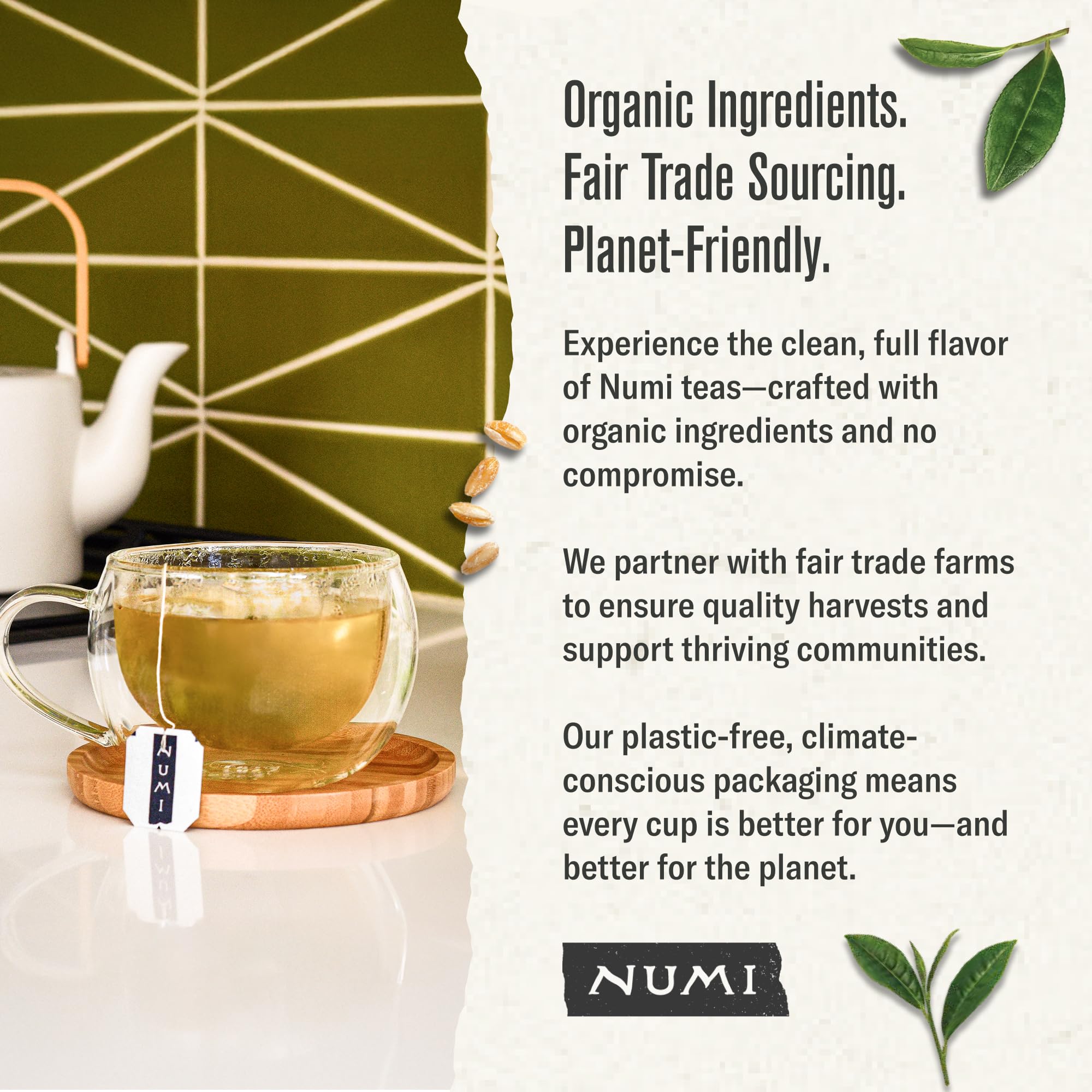 Numi authentic Japanese-style tea experience inviting mindful daily ritual.