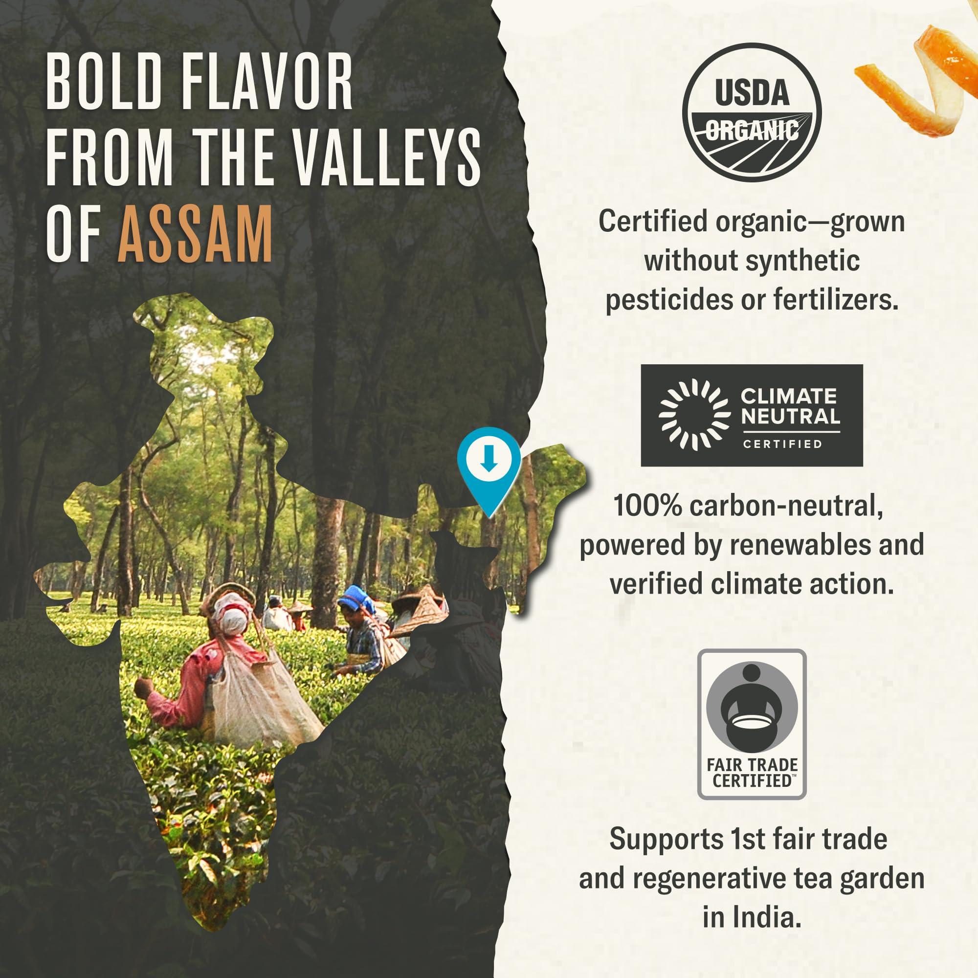 Numi organic sourcing via ethical partnerships for responsible tea drinking.