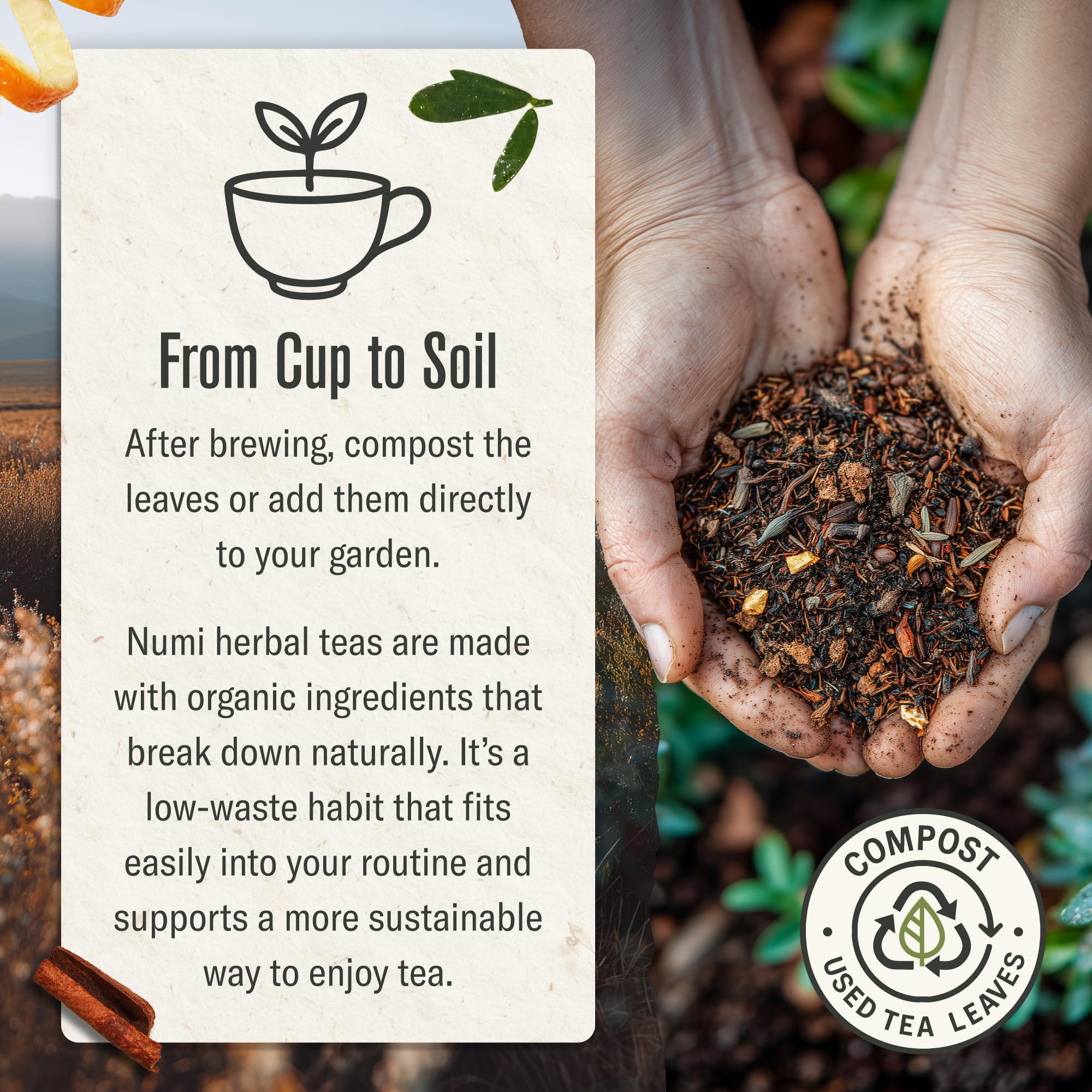 Numi Rooibos Chai spice blend with cinnamon and ginger aroma.