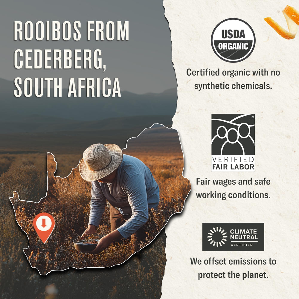 Numi Rooibos Chai steeped cup ready to enjoy