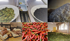 NURI Sardines in Spiced Tomato Sauce and Olive Oil for a vibrant twist.