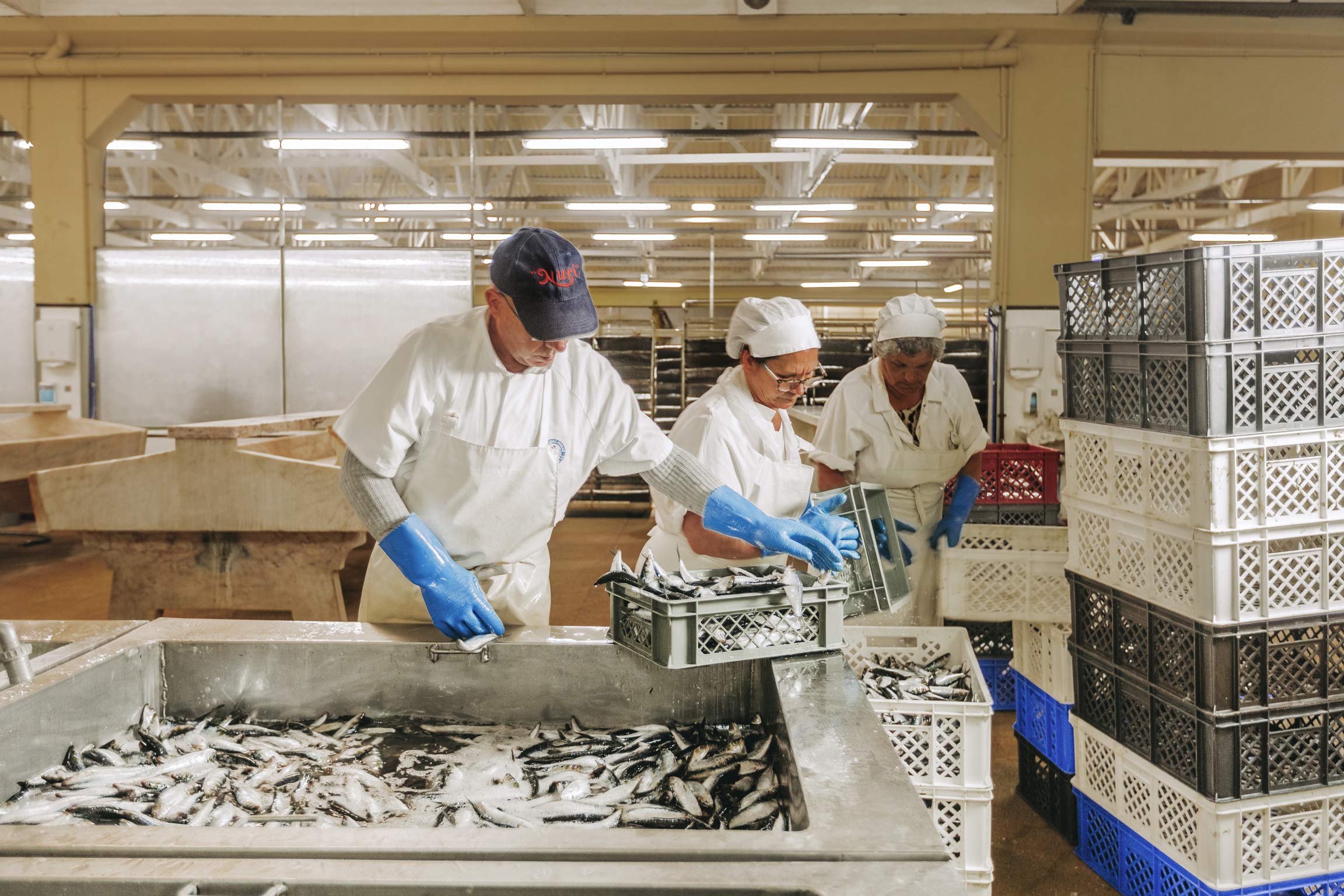 Selected wild-caught NURI sardines with pure ingredients and quality tasting notes.