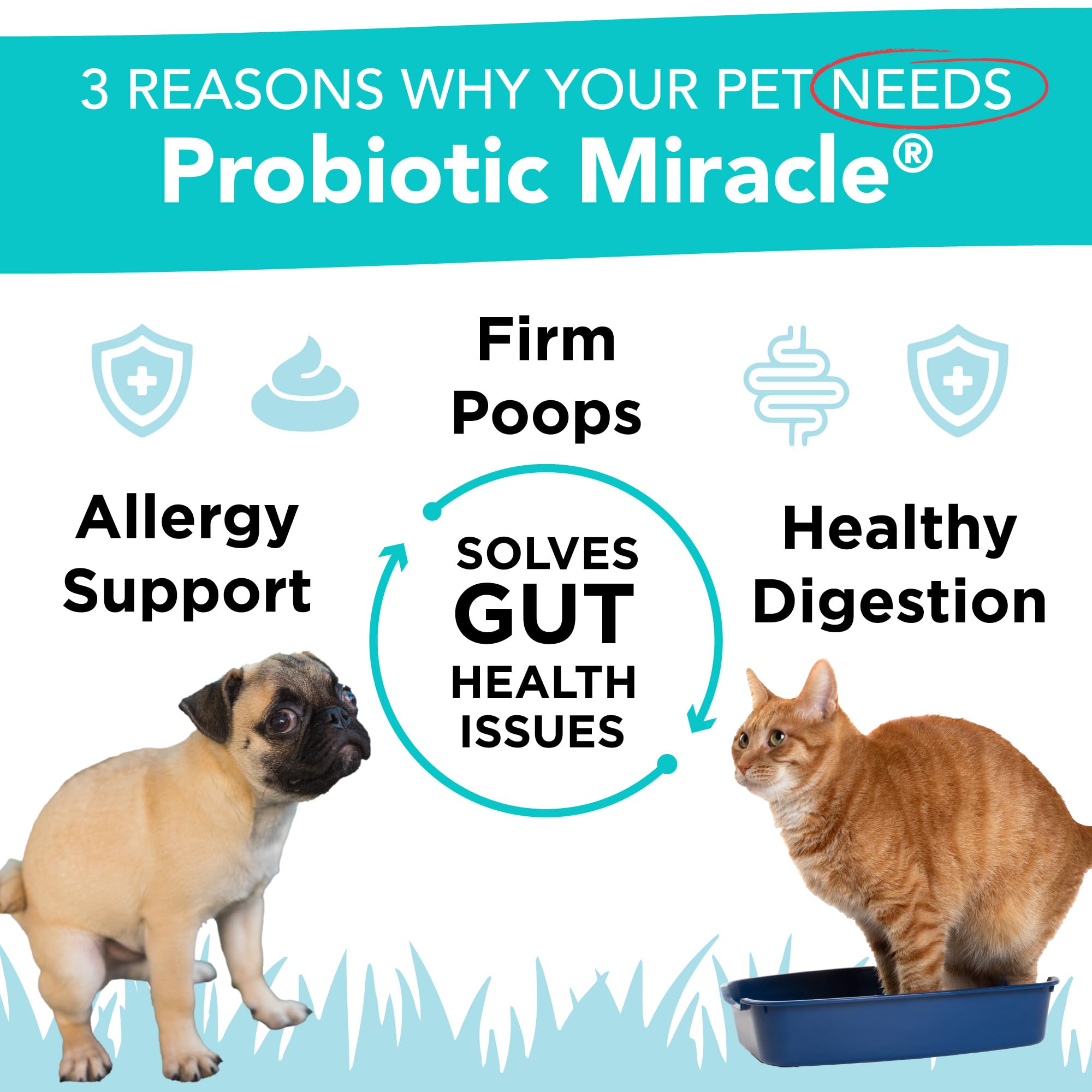 Nusentia Probiotic Miracle jar with 360 scoops supports larger dogs' feeding needs.
