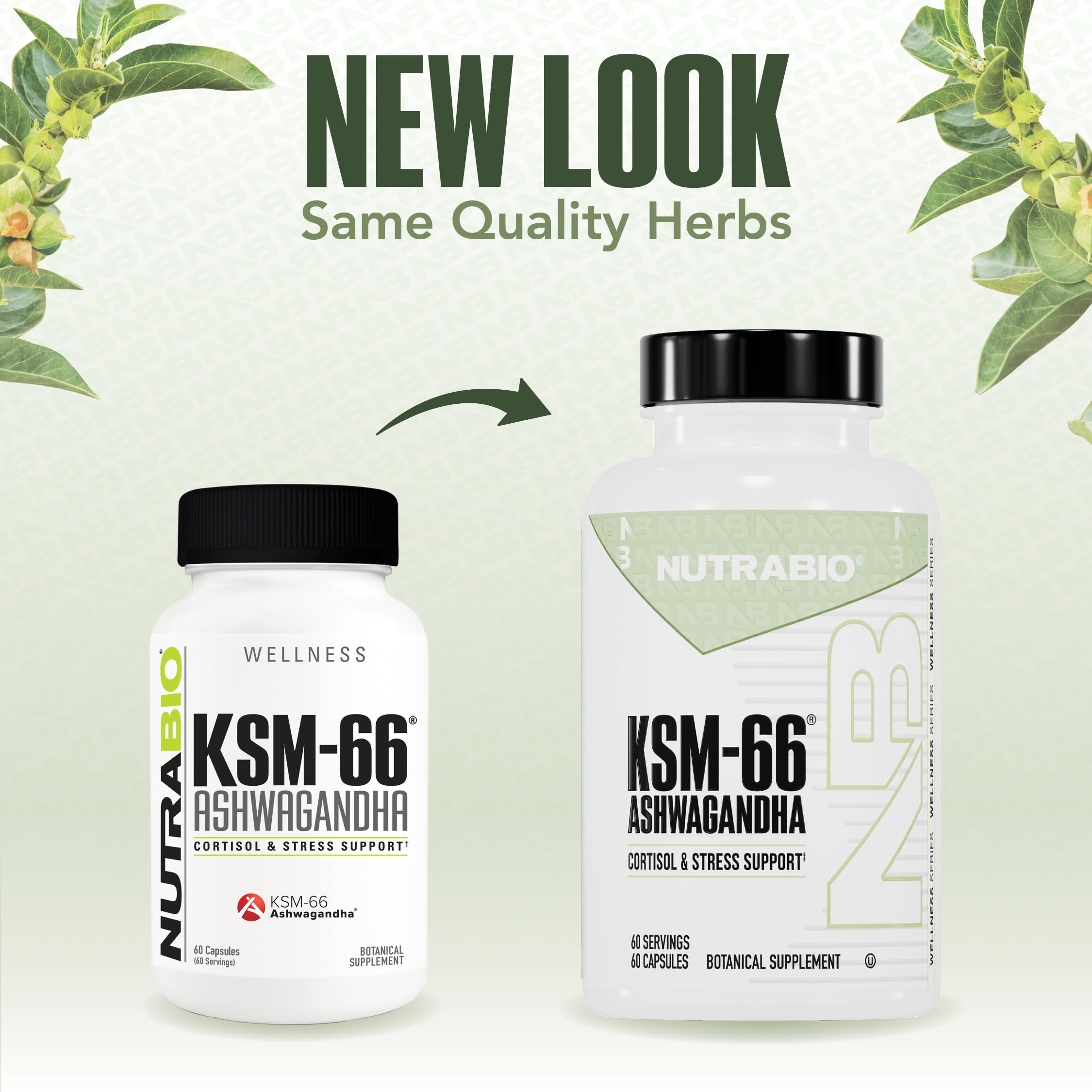 NutraBio Ashwagandha KSM-66 capsules on hands demonstrating use