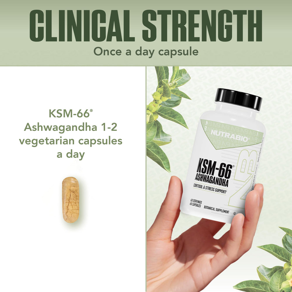 NutraBio Ashwagandha KSM-66 organic sources illustration for holistic wellness
