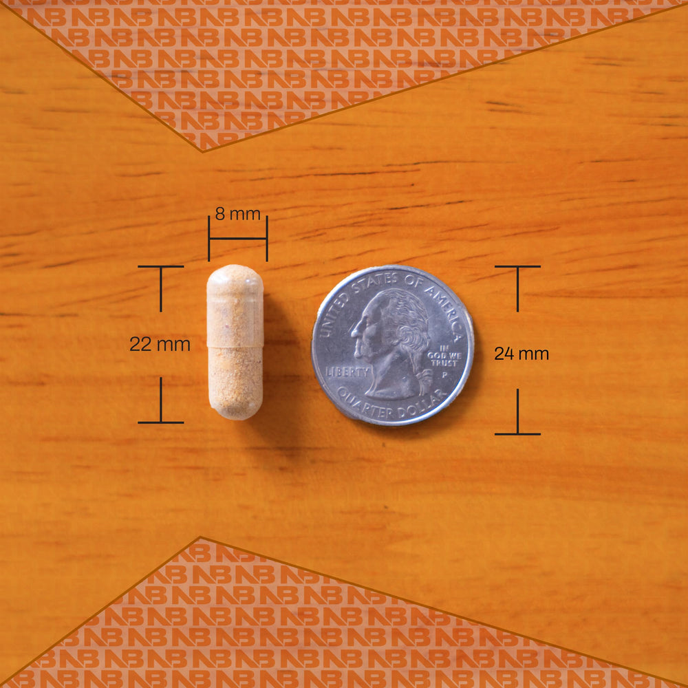 USA-made NutraBio MultiSport seal signaling quality and domestic production standards