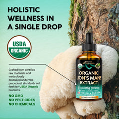Close-up of NUTRAHARMONY Lions Mane Liquid bottle label with clean design.