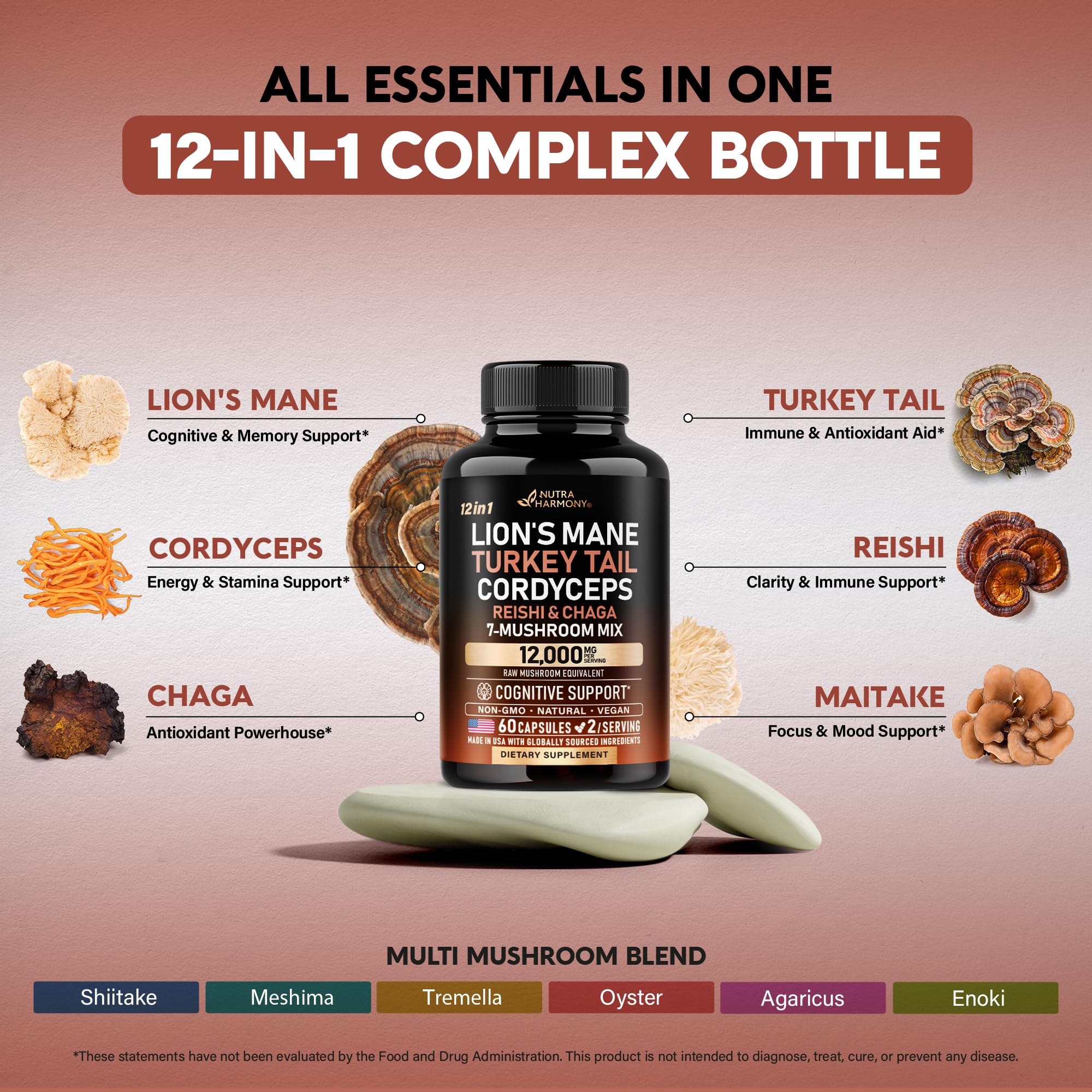 NutraHarmony Mushroom Complex Chaga capsule for natural wellness potential.