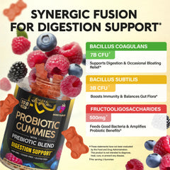 NutraHarmony probiotic gummies featuring prebiotics and FOS for gut nourishment.