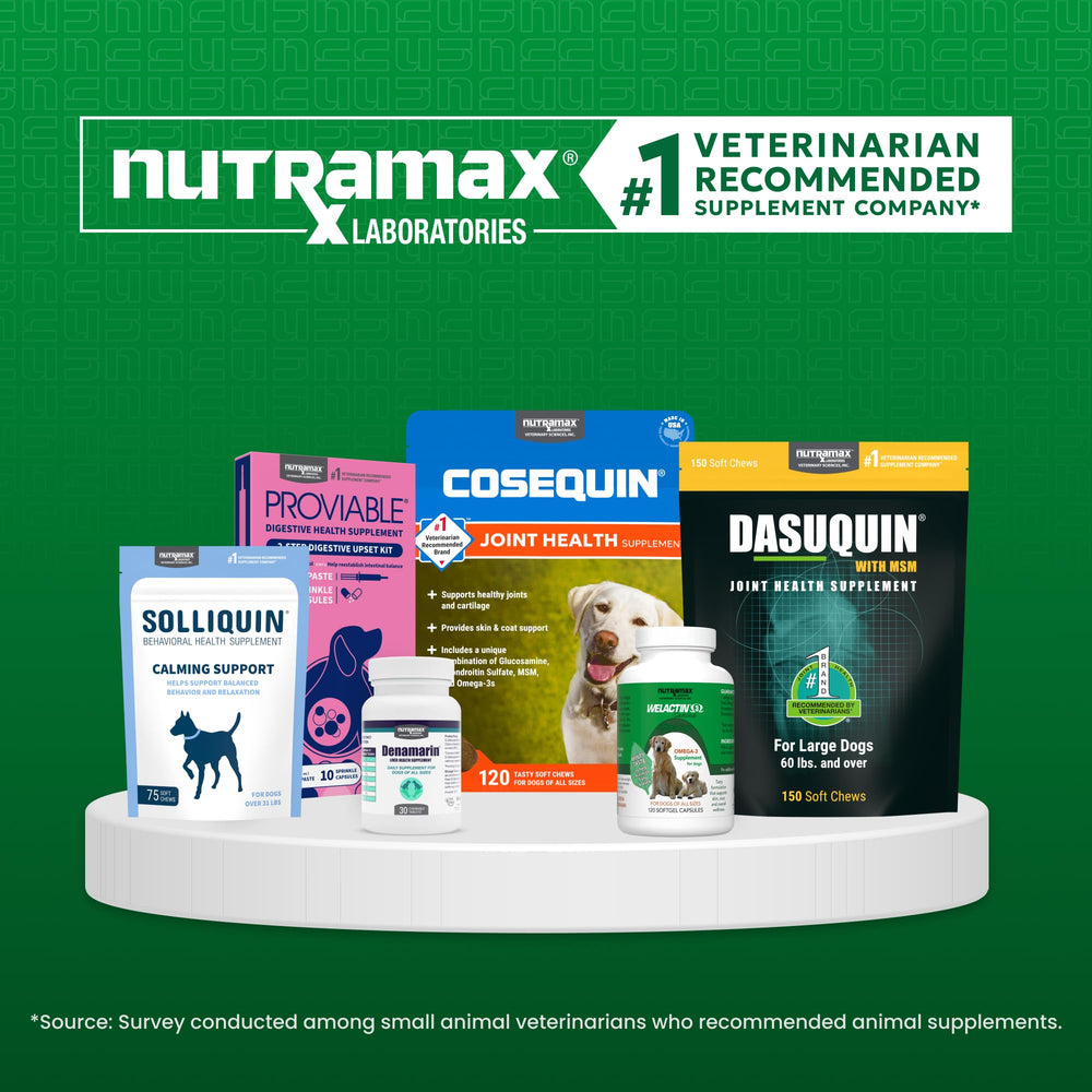 Chewable Cobalequin B12 tablets beside a young dog, ideal daily supplement.