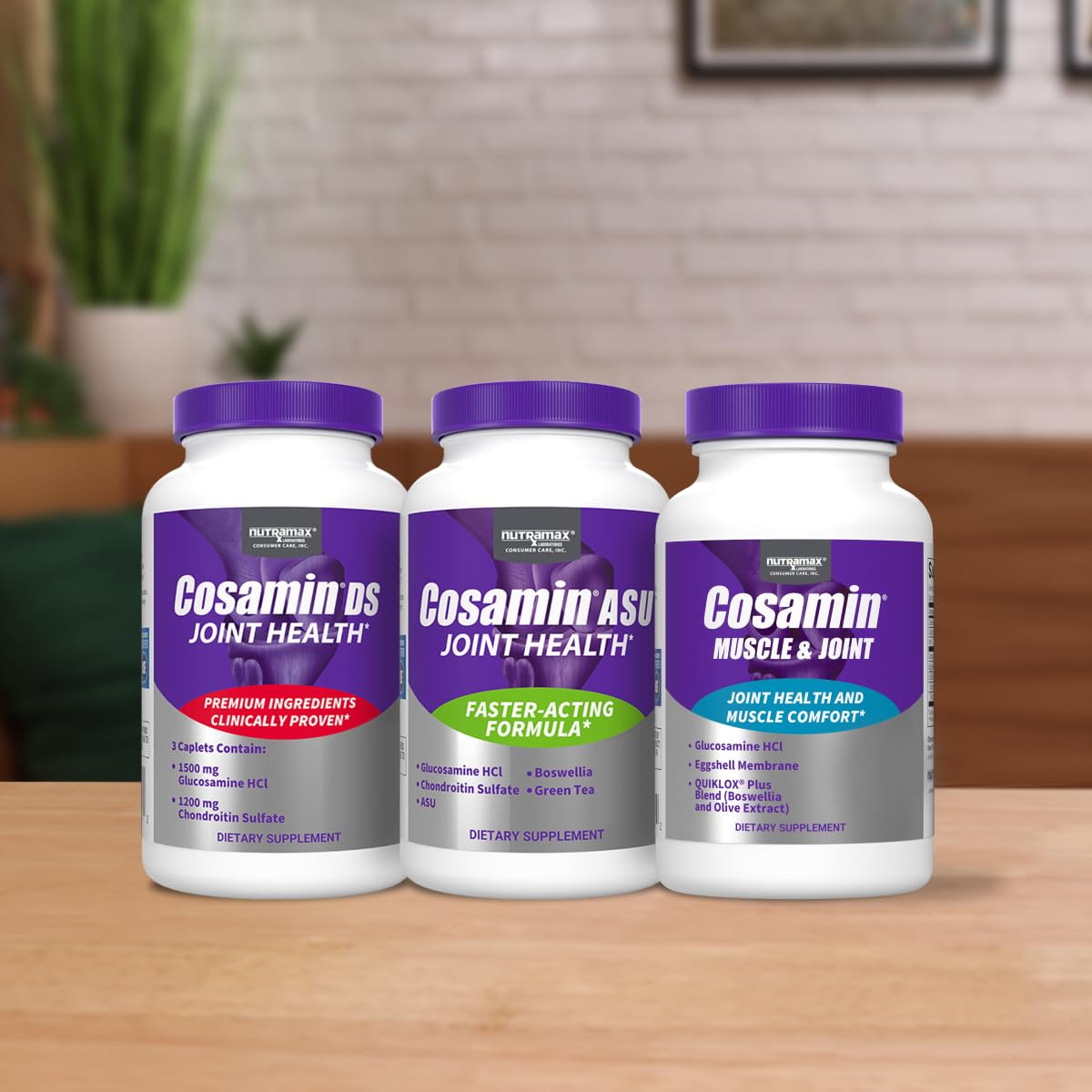 Nutramax Cosamin DS chondroitin sulfate detail
