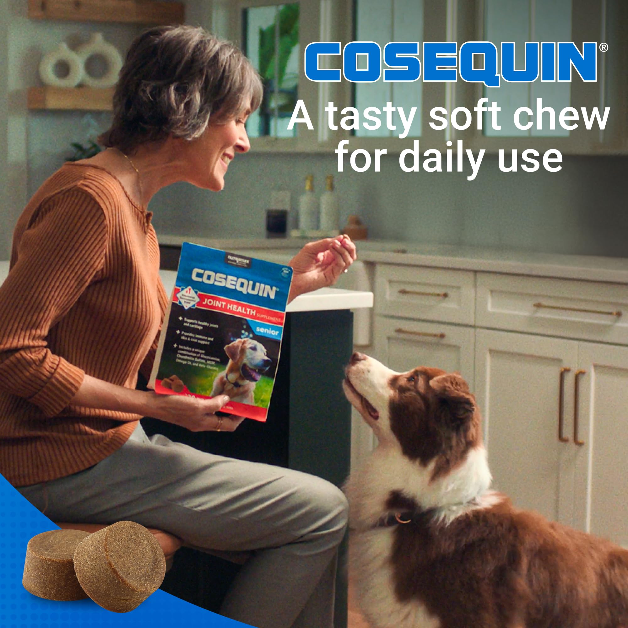 Nutramax Cosequin beta-glucan immune support for dogs in soft chew form