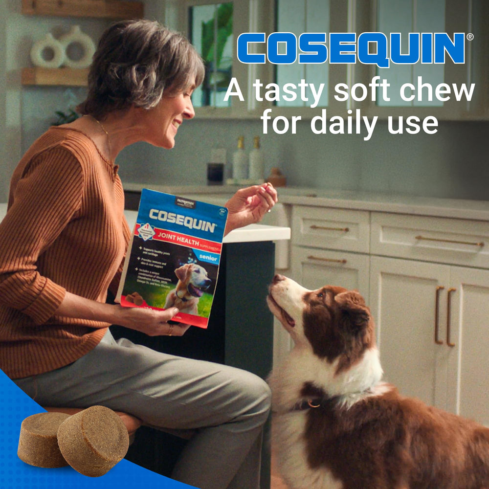 Nutramax Cosequin beta-glucan immune support for dogs in soft chew form