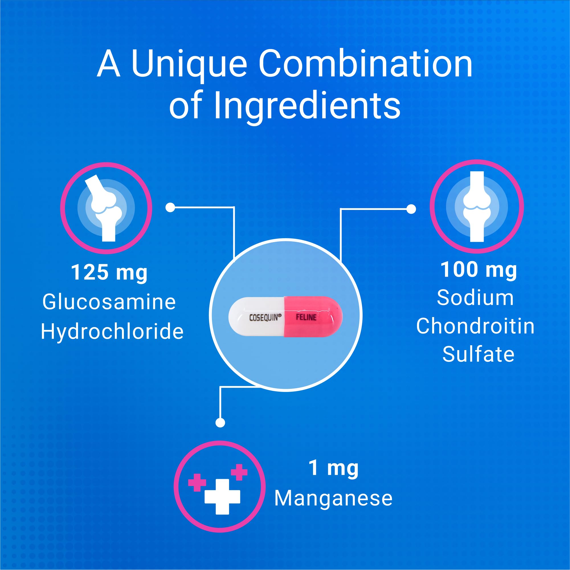 Nutramax Cosequin cat label and ingredients highlight glucosamine, chondroitin, and omega-3s.