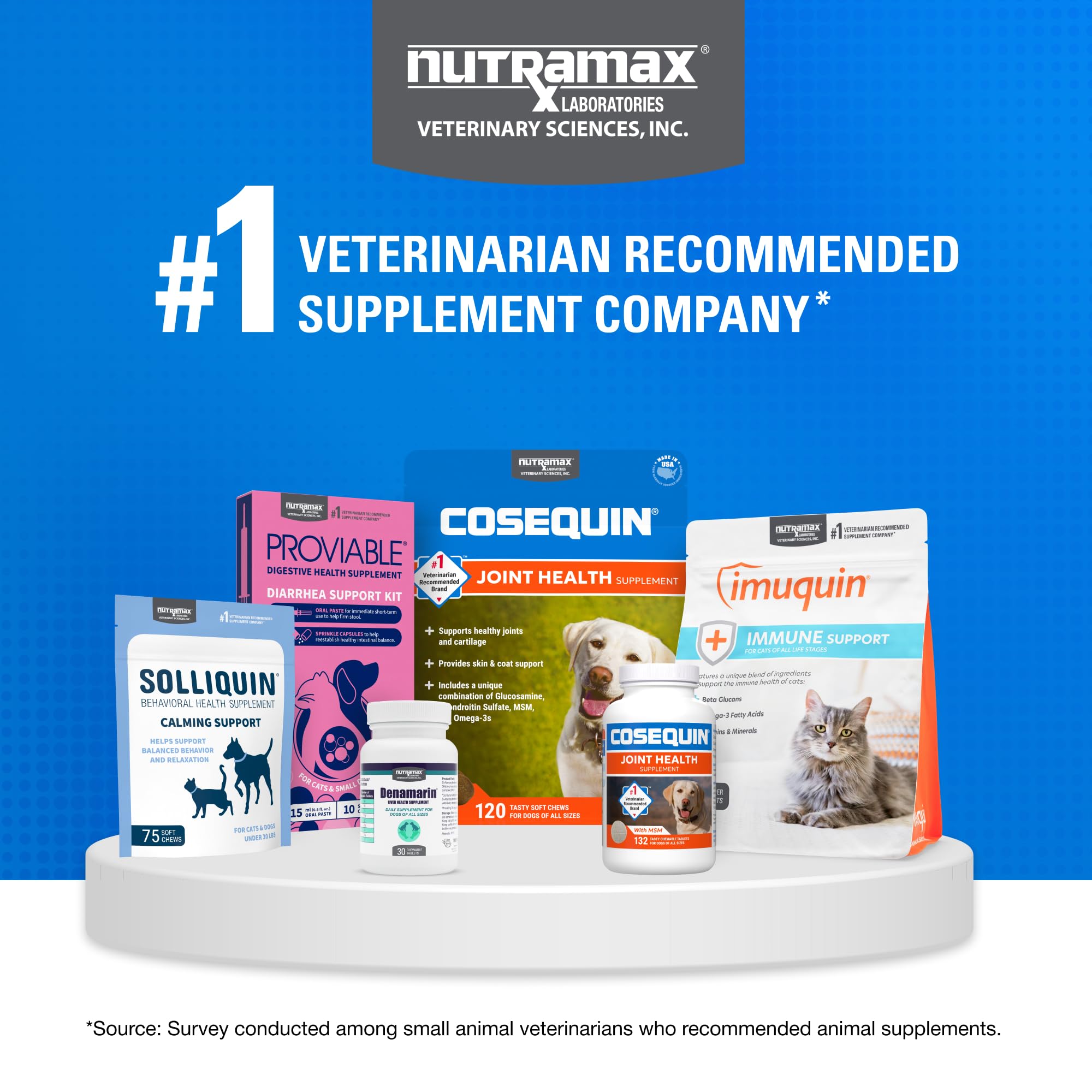 Veterinarian-recommended Nutramax Cosequin branding supports cat care
