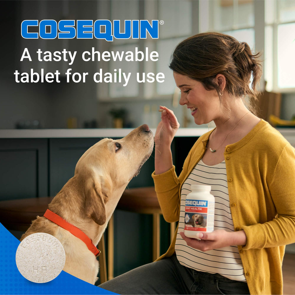 Nutramax Cosequin chondroitin sulfate tablets illustrate a core joint support ingredient that promotes healthy joint fluid.