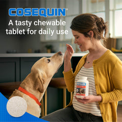 Nutramax Cosequin chondroitin sulfate tablets illustrate a core joint support ingredient that promotes healthy joint fluid.