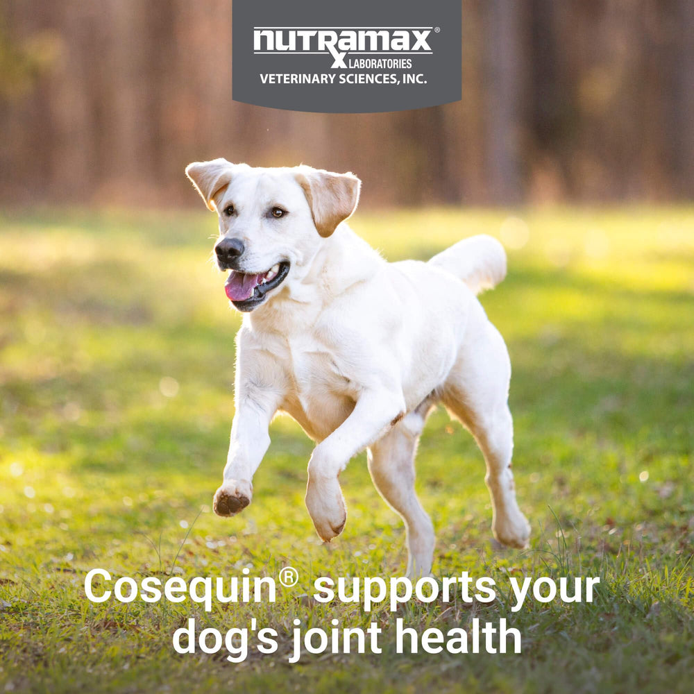 Nutramax Cosequin glucosamine HCl ingredient highlights cartilage support for joints.