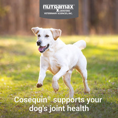 Nutramax Cosequin glucosamine HCl ingredient highlights cartilage support for joints.