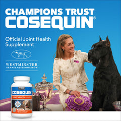 Nutramax Cosequin maximum-strength dog joint chews in a tasty, chicken-flavored treat.