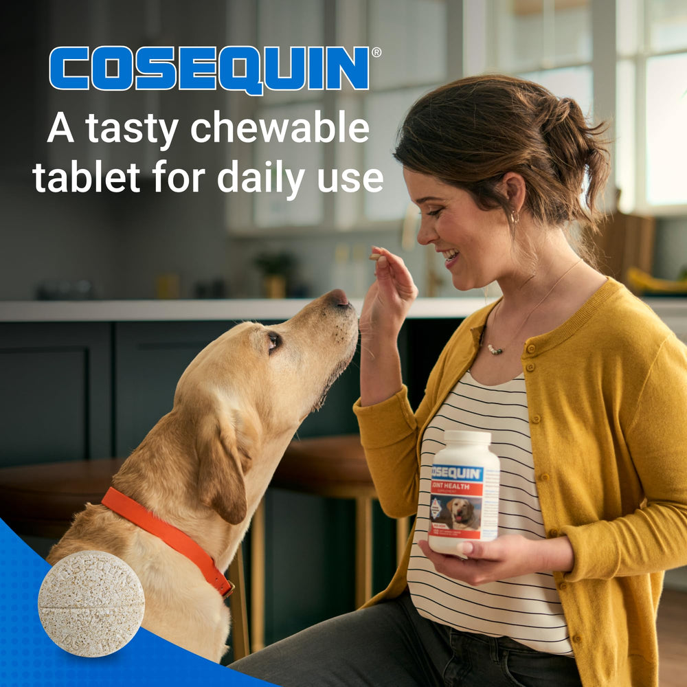 Dog climbing stairs with COSEQUIN in view, suggesting mobility support.